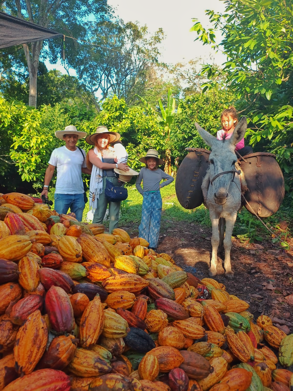 RUTA DEL CACAO