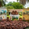 CHOCOLATE DE MESA 100% CACAO PURO 150G